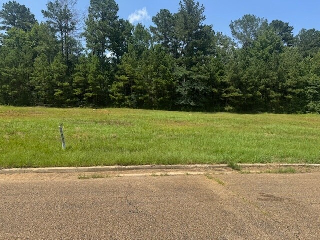 Parklane Rd, Mccomb, MS à vendre - Photo de l’immeuble – Image 3 sur 5