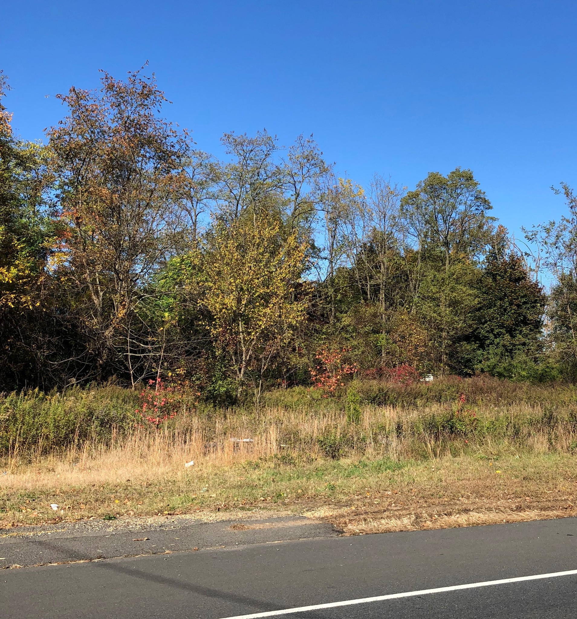 2063-2065 US Route 130, Monmouth Junction, NJ à vendre Photo principale– Image 1 sur 5