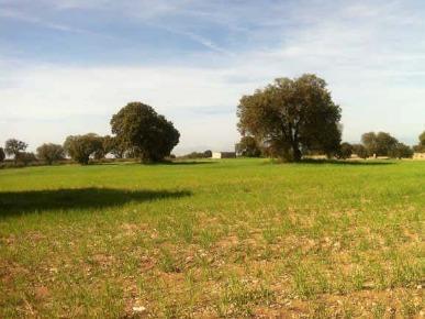 Avenida Mariana Pineda, Guadix, Granada à vendre - Aérien – Image 3 sur 11