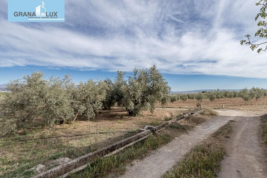 Pago de, Albolote, Granada à vendre - Photo de l’immeuble – Image 3 sur 14
