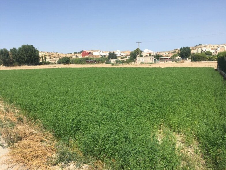 Terrain dans Molina de Segura, Murcia à vendre - Plan de site – Image 1 sur 6