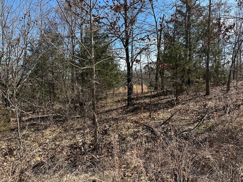 Lot 2 Deer Meadows Lane, Yellville, AR à vendre - Autre – Image 2 sur 3