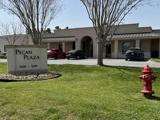 Plus de détails pour 1243-1291 Stuart Place Rd Rd, Palm Valley, TX - Bureau/Médical à louer