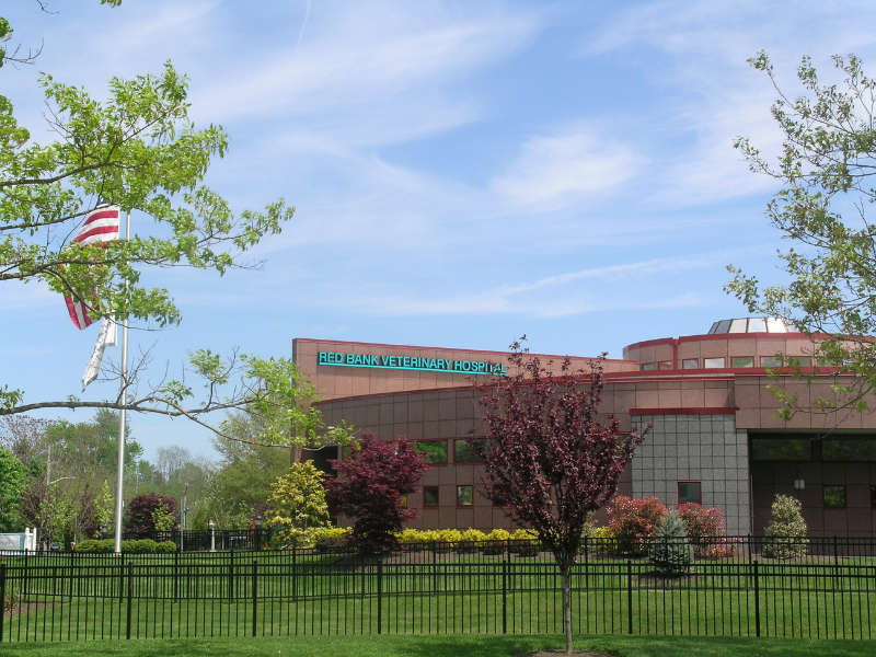 197 Hance Ave, Tinton Falls, NJ à vendre Photo de l’immeuble– Image 1 sur 15