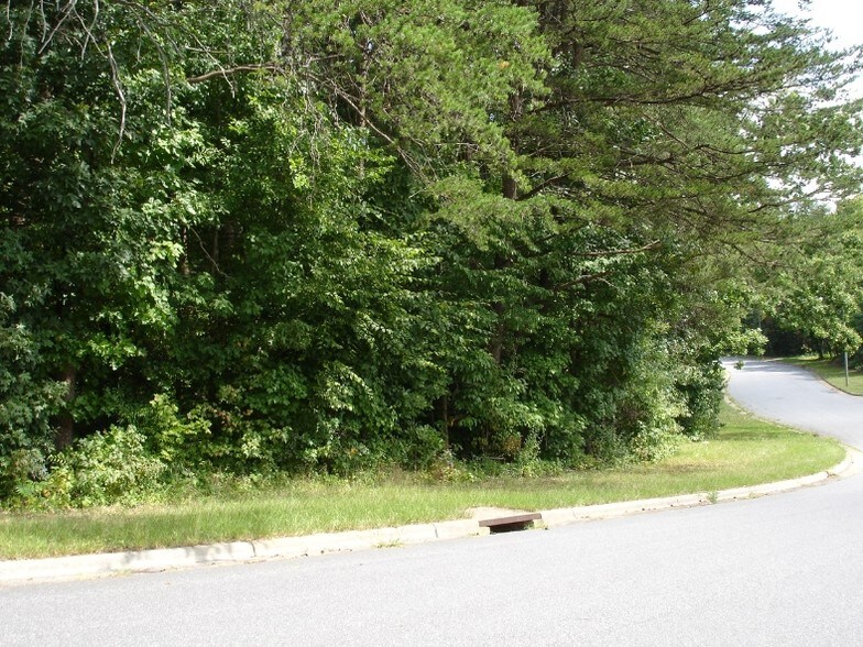 0000 Berkshire Dr, Statesville, NC à vendre - Photo principale – Image 3 sur 3
