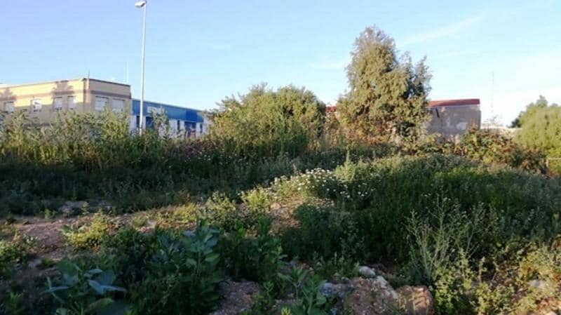 Calle Ébano, 1, San Roque, Cádiz à vendre - Autre – Image 2 sur 5