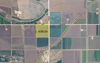 Plus de détails pour 0 S. Alamo Rd, Alamo, TX - Terrain à vendre