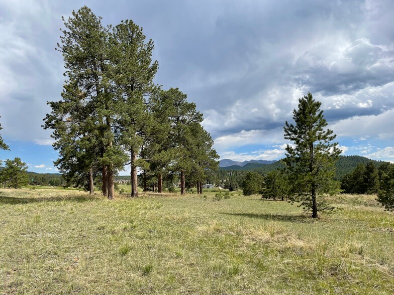 TBD Lucky Lady Dr, Woodland Park, CO à vendre - Photo de l’immeuble – Image 1 sur 2