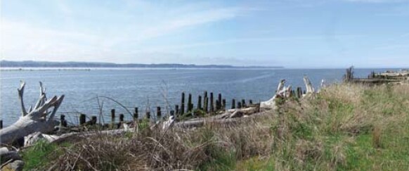 815 8th St, Hoquiam, WA à vendre - Autre – Image 3 sur 8