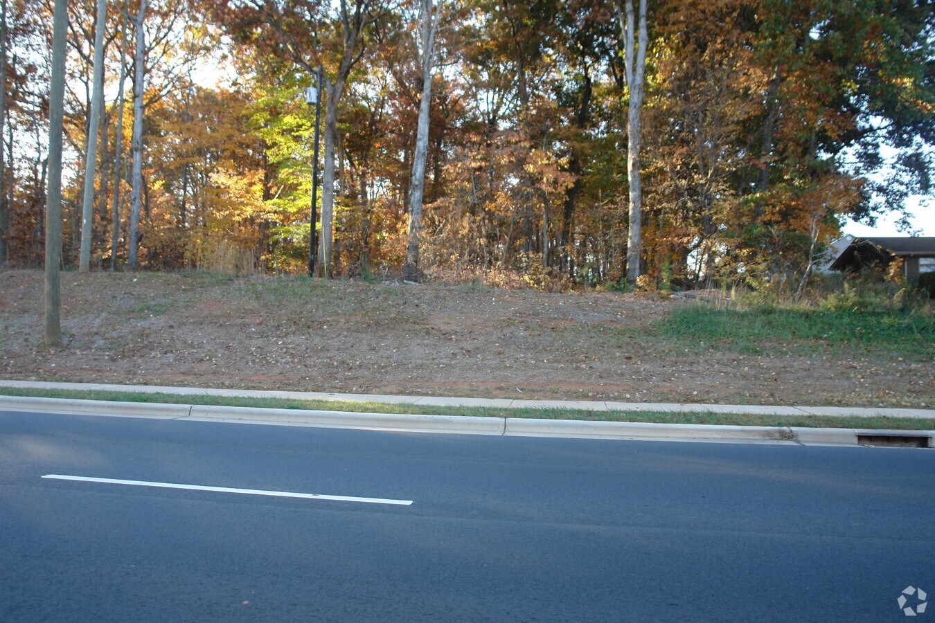 View Photo