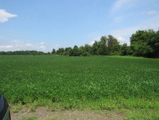 Plus de détails pour County Rt 19, Livingston, NY - Terrain à vendre