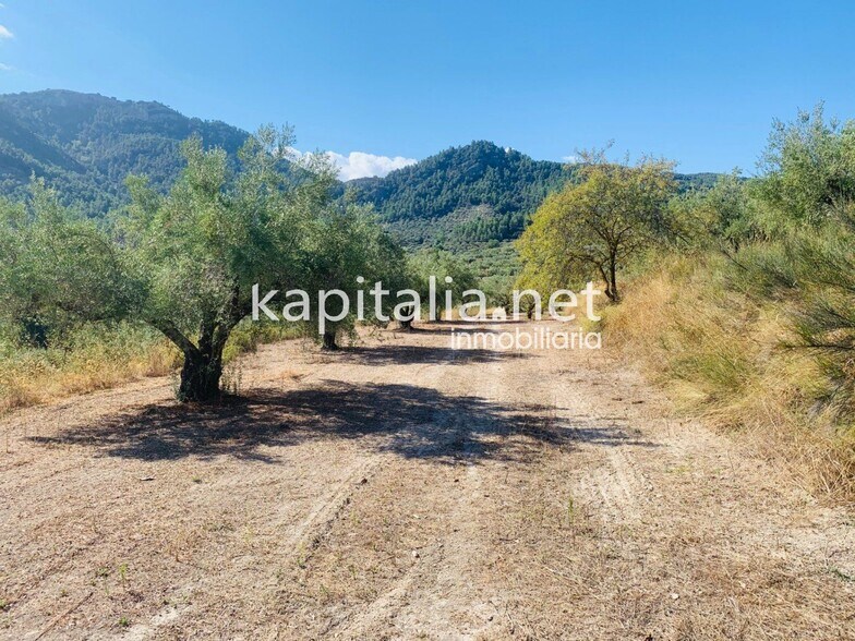 Terrain dans Alfafara, Alicante à vendre - Photo principale – Image 3 sur 12