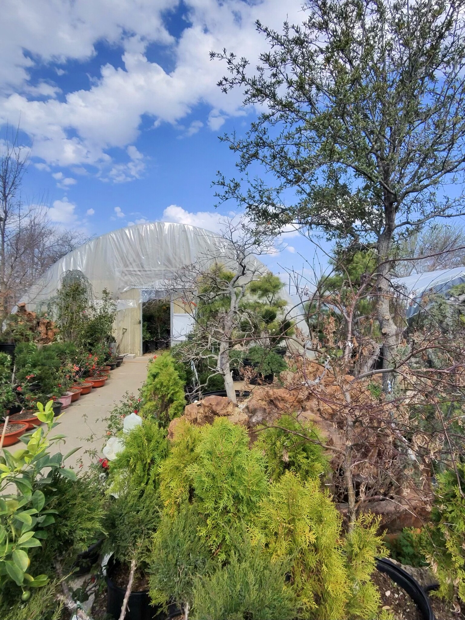 4022 Broadway Blvd, Garland, TX à vendre Photo principale– Image 1 sur 10