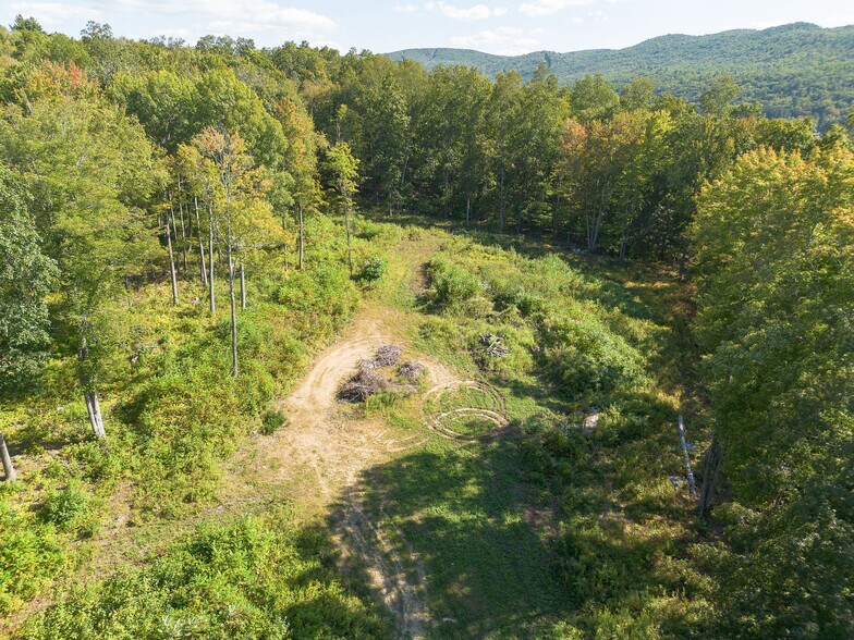 11 Roger Rd, Great Barrington, MA à vendre - Aérien – Image 3 sur 12