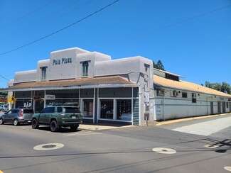 Plus de détails pour 71 Baldwin Ave, Paia, HI - Local commercial à louer