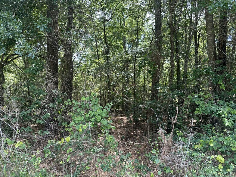 4102 Van Hwy, Tyler, TX à vendre - Photo de l’immeuble – Image 2 sur 13