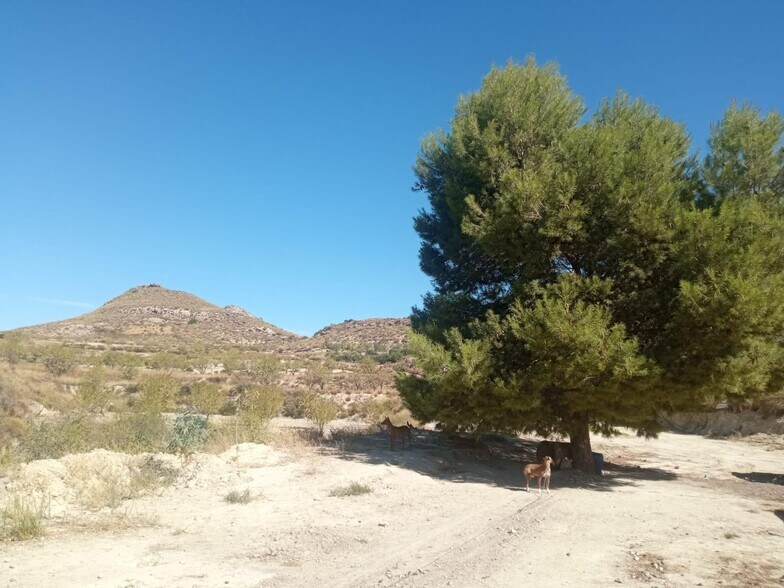 Terrain dans Lorca, Murcia à vendre - Photo de l’immeuble – Image 3 sur 41
