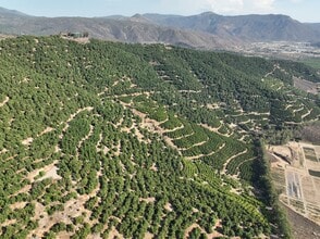 Avenida de Las Estrellas Ave, Pauma Valley, CA - Vue aérienne vue de carte - Image1
