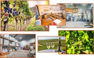 Plus de détails pour 510 County Road 1403, Lometa, TX - Terrain à vendre