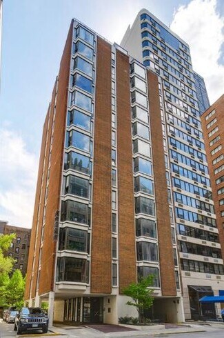 Plus de détails pour 227 E Walton Pl, Chicago, IL - Logement à vendre
