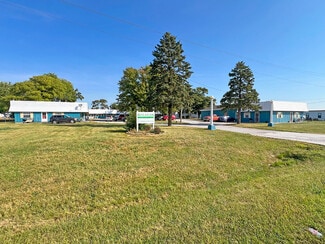 Plus de détails pour 9050 W Harristown Rd, Harristown, IL - Logement à vendre
