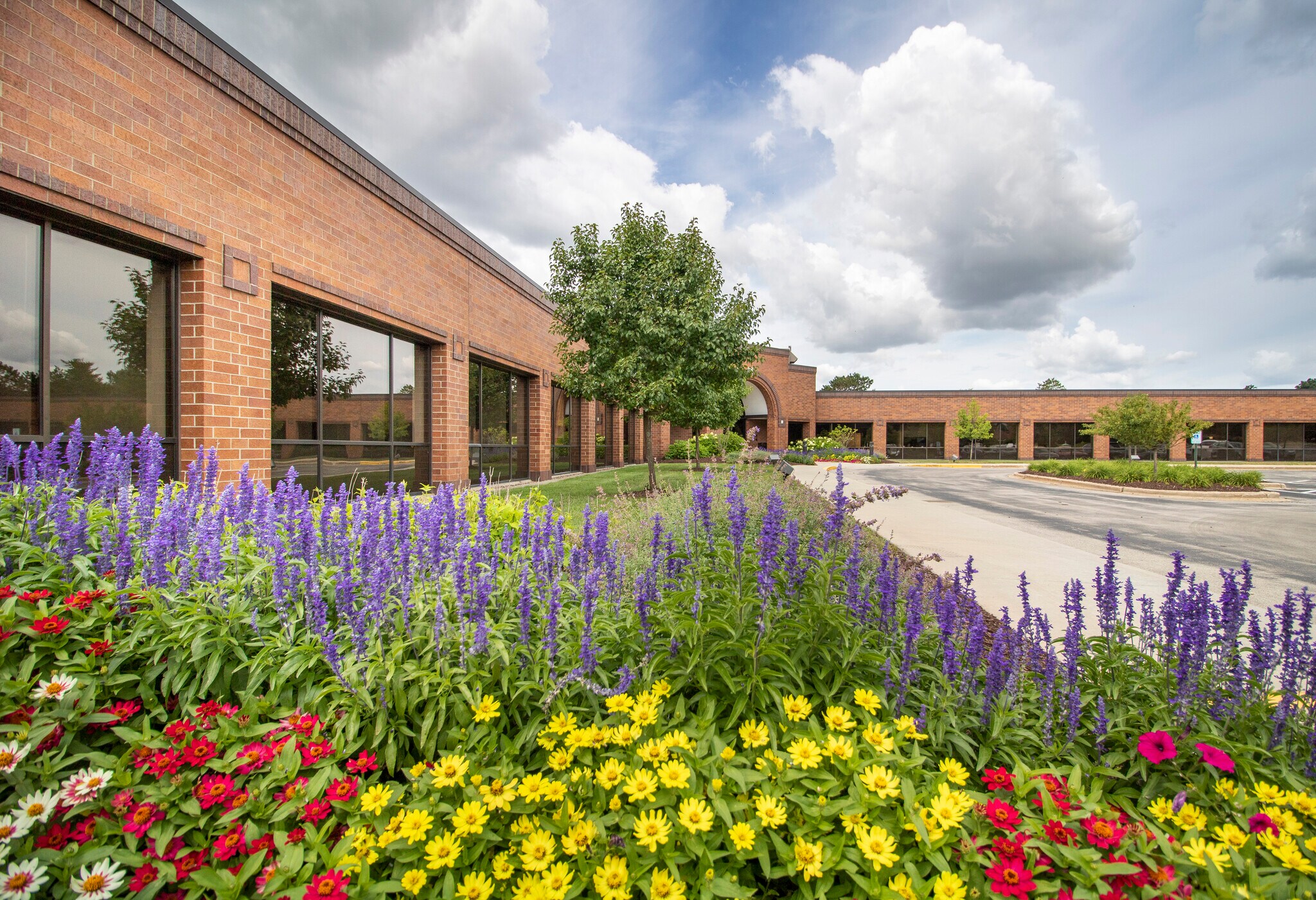 175 N Patrick Blvd, Brookfield, WI à louer Photo principale– Image 1 sur 10