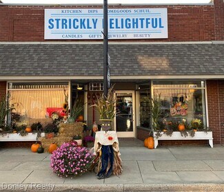 Plus de détails pour 3014 Main St, Marlette, MI - Local commercial à vendre
