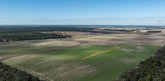 Plus de détails pour SW 10th St, Dunnellon, FL - Terrain à vendre