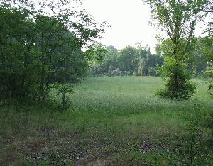 230 Highway 51 S, Hernando, MS à vendre - Photo de l’immeuble – Image 3 sur 9
