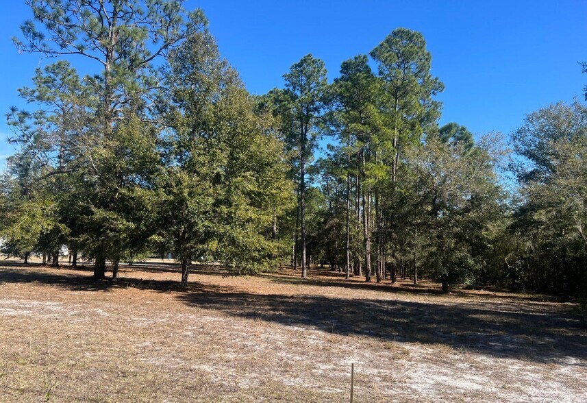 921 S Moody Rd, Palatka, FL à vendre - Autre – Image 2 sur 2