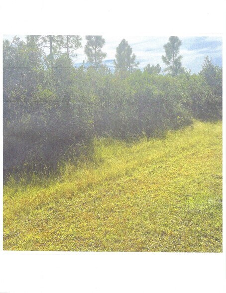 1016 Orchid dr, Indian Lake Estates, FL à vendre - Photo principale – Image 1 sur 5