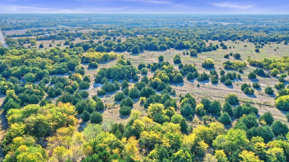 33.3 County Road 429, Anna, TX à vendre - Photo de l’immeuble – Image 3 sur 30