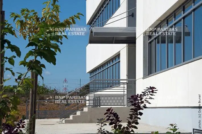 770 Avenue Alfred Sauvy, Pérols à louer - Photo de l’immeuble – Image 3 sur 21