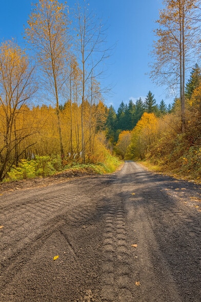 3206 W Valley Hwy E, Sumner, WA à louer - Photo de l’immeuble – Image 3 sur 6