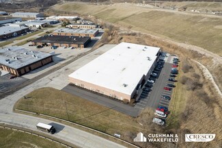 Plus de détails pour 10221 Sweet Valley Dr, Valley View, OH - Industriel/Logistique à louer