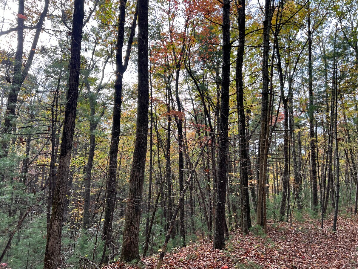 View Photo