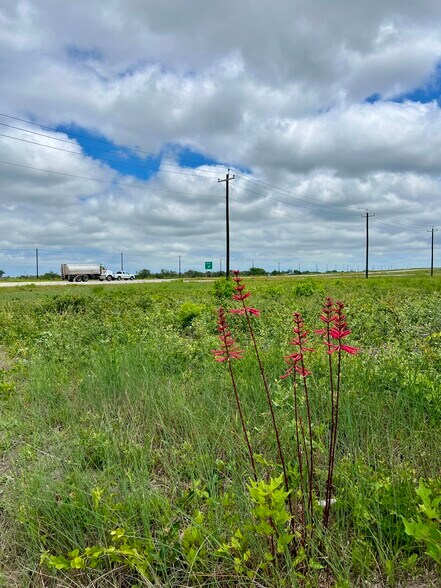 1352 Lee Rd, Aransas Pass, TX à vendre - Photo de l’immeuble – Image 2 sur 15