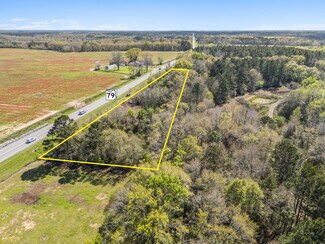 Plus de détails pour 1248 SR 79, Bonifay, FL - Terrain à vendre