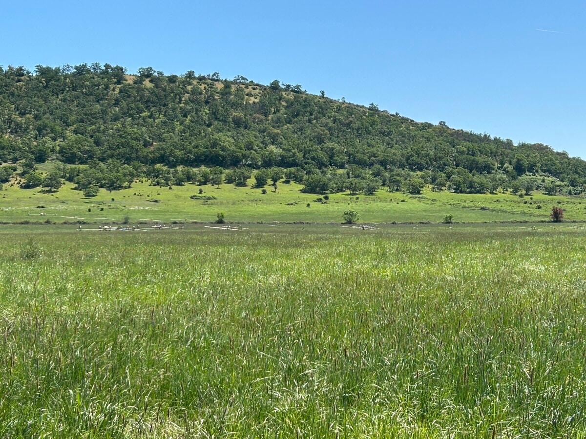 View Photo