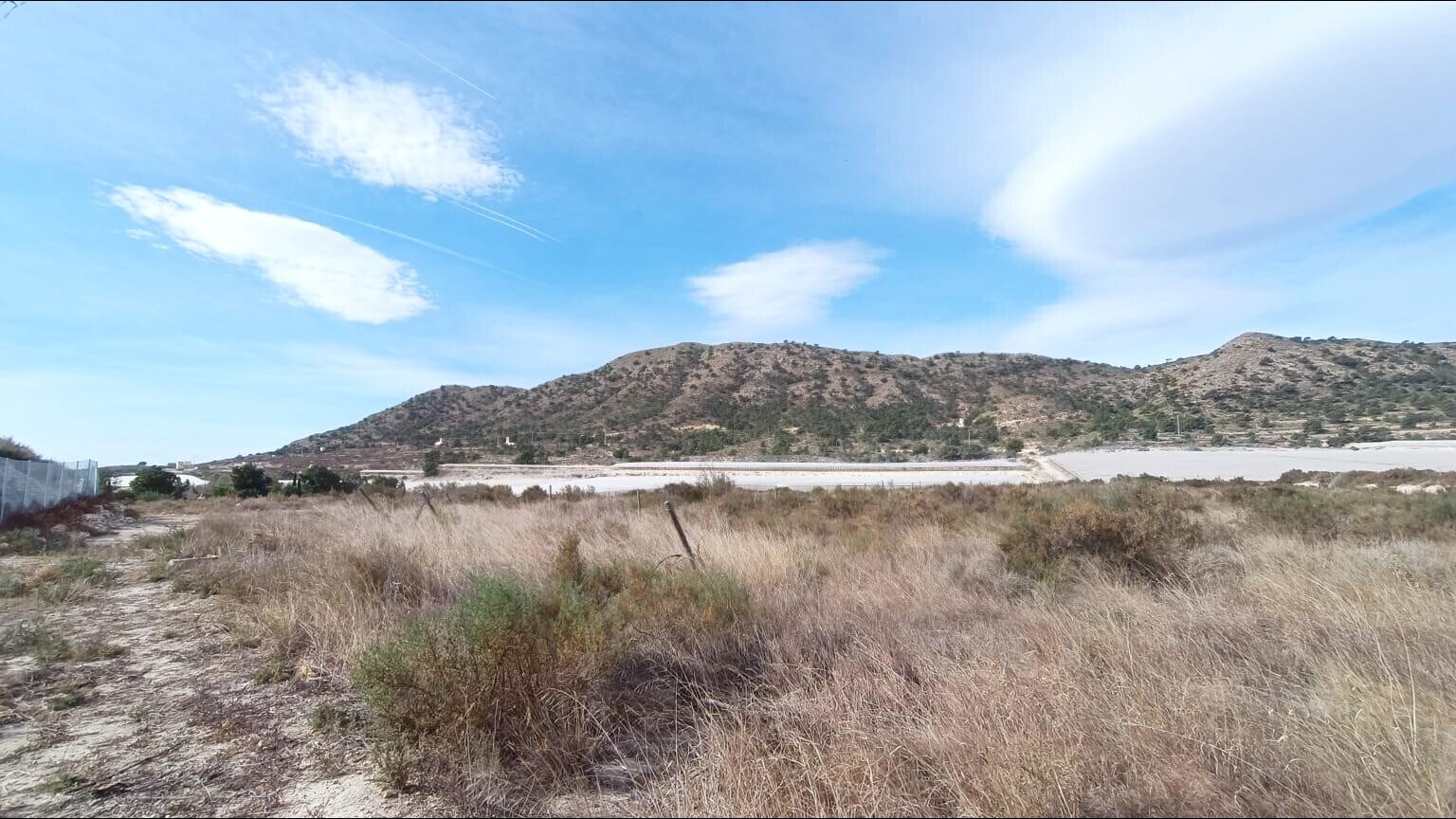 Terrain dans Novelda, Alicante à vendre Aérien– Image 1 sur 10