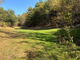 Plus de détails pour 605 Lane Hollow Rd, Sevierville, TN - Terrain à vendre