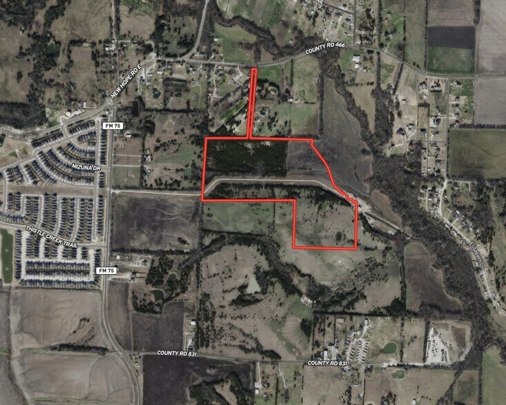 FM 75, Princeton, TX à vendre - Photo de l’immeuble – Image 1 sur 3