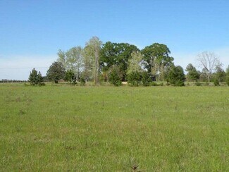 Plus de détails pour TBD Louisiana 121, Hineston, LA - Terrain à vendre