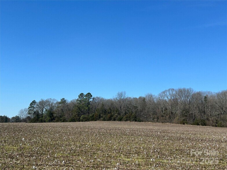 Intersection Falls Rd and Bridgewater rd, Rock Hill, SC à vendre - Photo principale – Image 1 sur 8