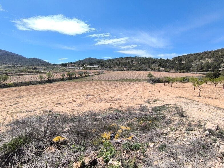 Terrain dans Jumilla, Murcia à vendre - Aérien – Image 3 sur 4