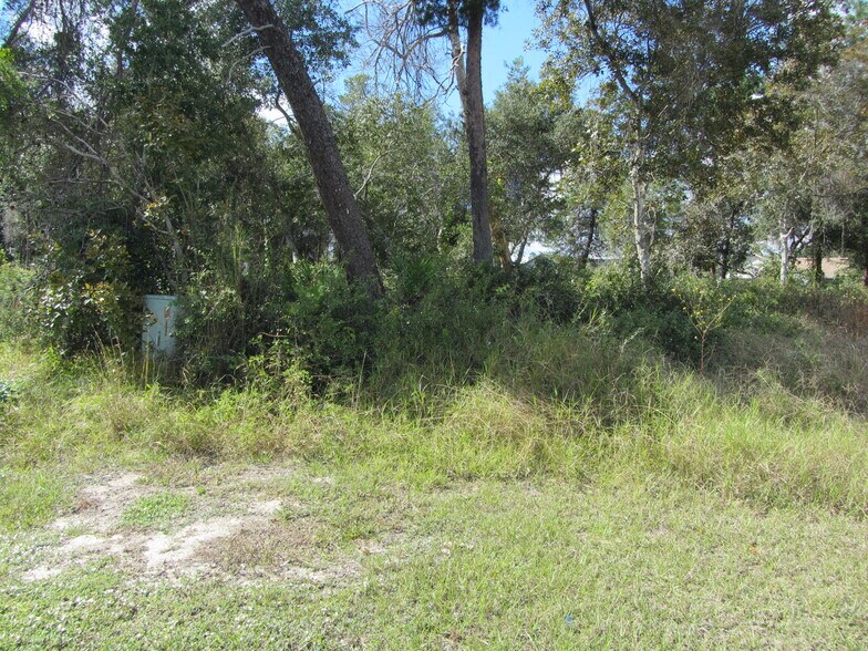 1688 Catalina Blvd, Deltona, FL à vendre - Photo de l’immeuble – Image 2 sur 6