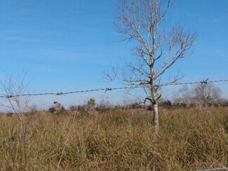 Plus de détails pour 00 Belton Lane Extension Ln, Anahuac, TX - Terrain à vendre