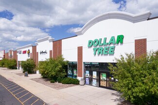 Plus de détails pour 260 E Rollins Rd, Round Lake Beach, IL - Local commercial à louer