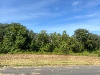 Plus de détails pour Redtree Dr, Leesburg, FL - Terrain à vendre