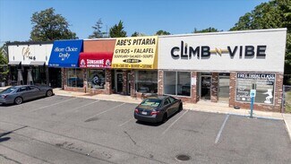 Plus de détails pour 3037-3049 Merrick Rd, Wantagh, NY - Local commercial à louer